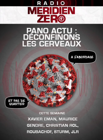 Emission n°399 : « Panorama Actu : déconfinons les cerveaux ! »