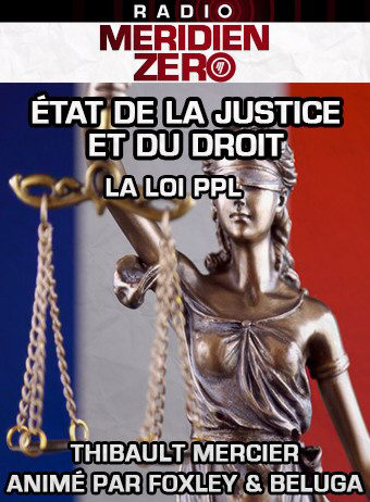Emission n°413 : « Entretien avec Thibault Mercier sur la PPL sur la sécurité globale »