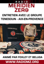 entretien-tenesoun