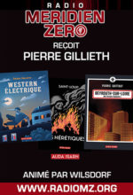 entretien-pierre-gillieth