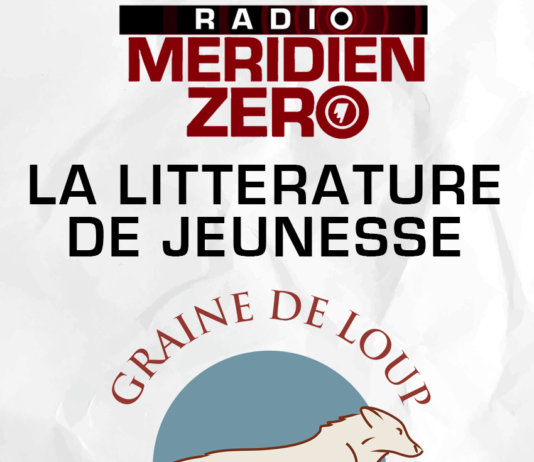 Les entretiens de Méridien Zéro : « La littérature jeunesse avec Anne-Laure Blanc »