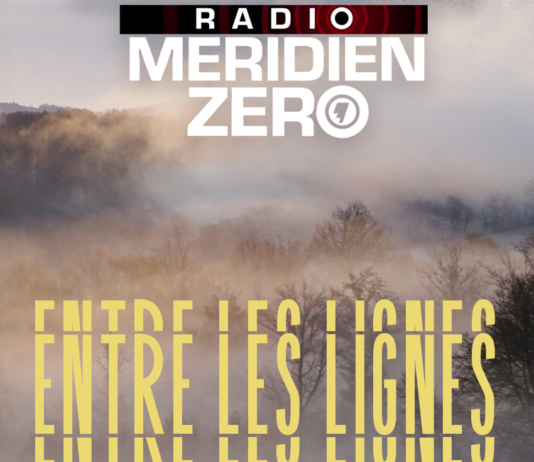 Entre les lignes #1 : « Que reste-t-il de l’idée d’Europe ? »